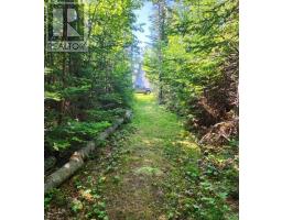56 Johnny Ben's Lane, Red Point, NS B2C1G8 Photo 28