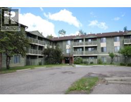 185 Chamberlain Crescent Unit# 310, Tumbler Ridge, BC V0C2W0 Photo 14