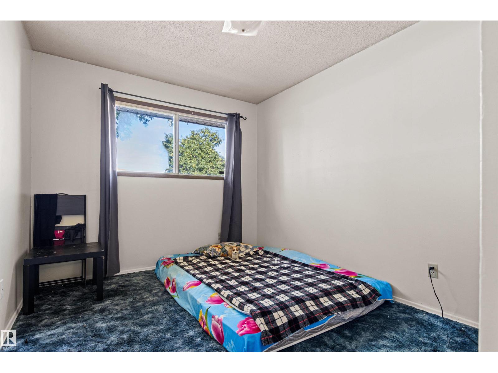 11703 38 ST NW - 20