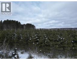 Route 385, Maple View, NB E7G4L2 Photo 21