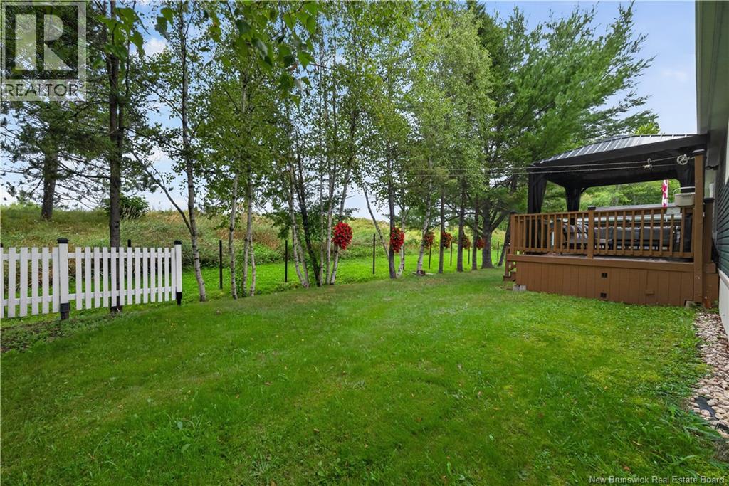 20 Blue Jay - Image 36