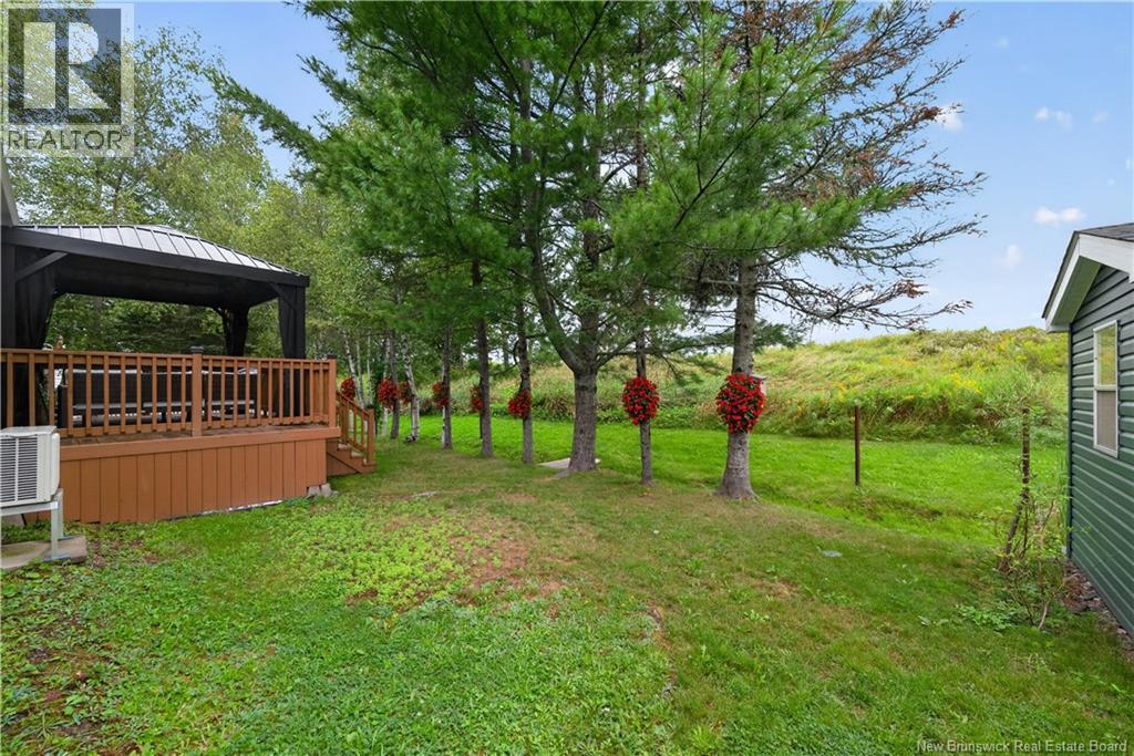 20 Blue Jay - Image 46