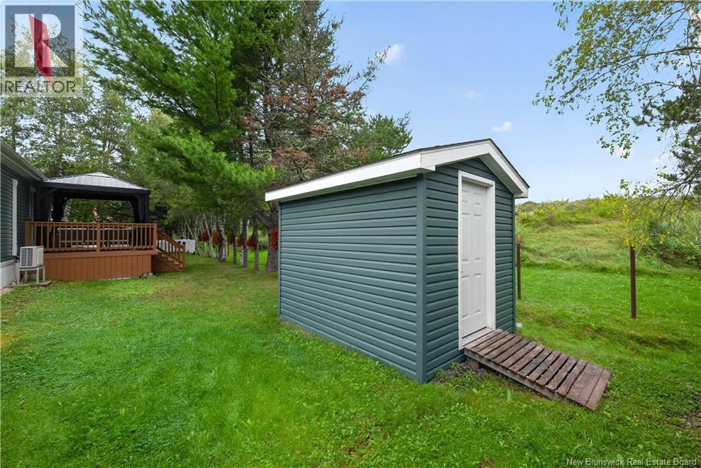 20 Blue Jay - Image 49
