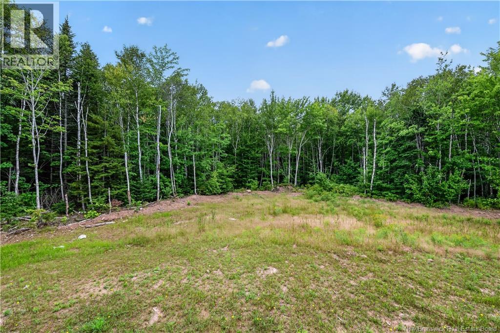 25-26 Roy Scenic Drive - Image 48