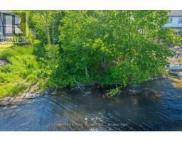 18 Hawkins Point Road, Georgian Bay, ON P0C1A0 Photo 15