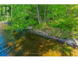 18 Hawkins Point Road, Georgian Bay, ON P0C1A0 Photo 17