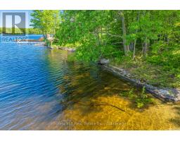 18 Hawkins Point Road, Georgian Bay, ON P0C1A0 Photo 18