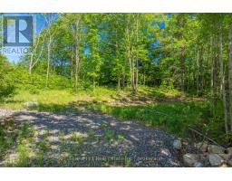 18 Hawkins Point Road, Georgian Bay, ON P0C1A0 Photo 6