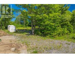 18 Hawkins Point Road, Georgian Bay, ON P0C1A0 Photo 7