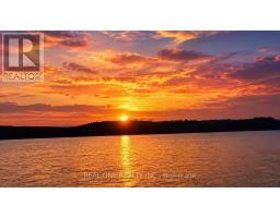 3013 Muskoka Road 117, Lake Of Bays, ON P0B1A0 Photo 33
