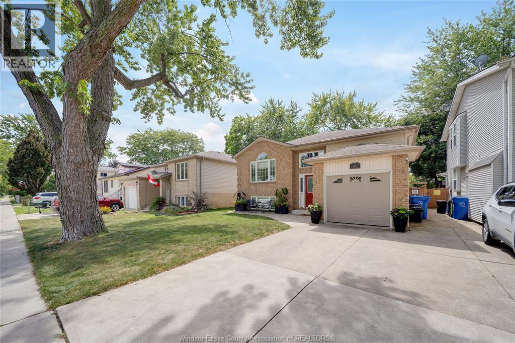 1309 ELLROSE - Image 4
