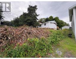 5 Watsons Road thumbnail 26