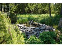 158 Stokes Bay Road, Northern Bruce Peninsula, ON N0H1W0 Photo 39