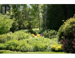 158 Stokes Bay Road, Northern Bruce Peninsula, ON N0H1W0 Photo 40