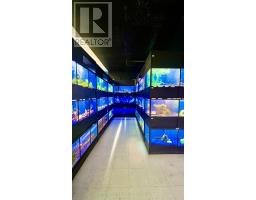 955 10th Street W, Owen Sound, ON N4K5S2 Photo 7