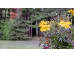 19 Elmwood Crescent thumbnail 27