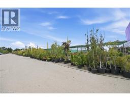 4670 #6 Highway S, Hagersville, ON N0A1H0 Photo 10
