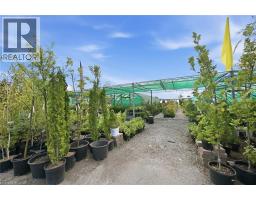 4670 #6 Highway S, Hagersville, ON N0A1H0 Photo 11