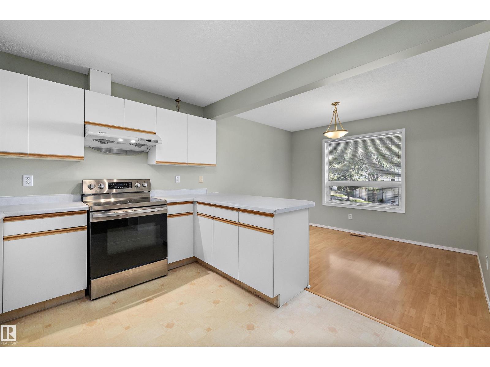 #29 9520 174 ST NW - 19