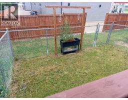 45 Winston Place, Blackfalds, AB T4M0K9 Photo 33