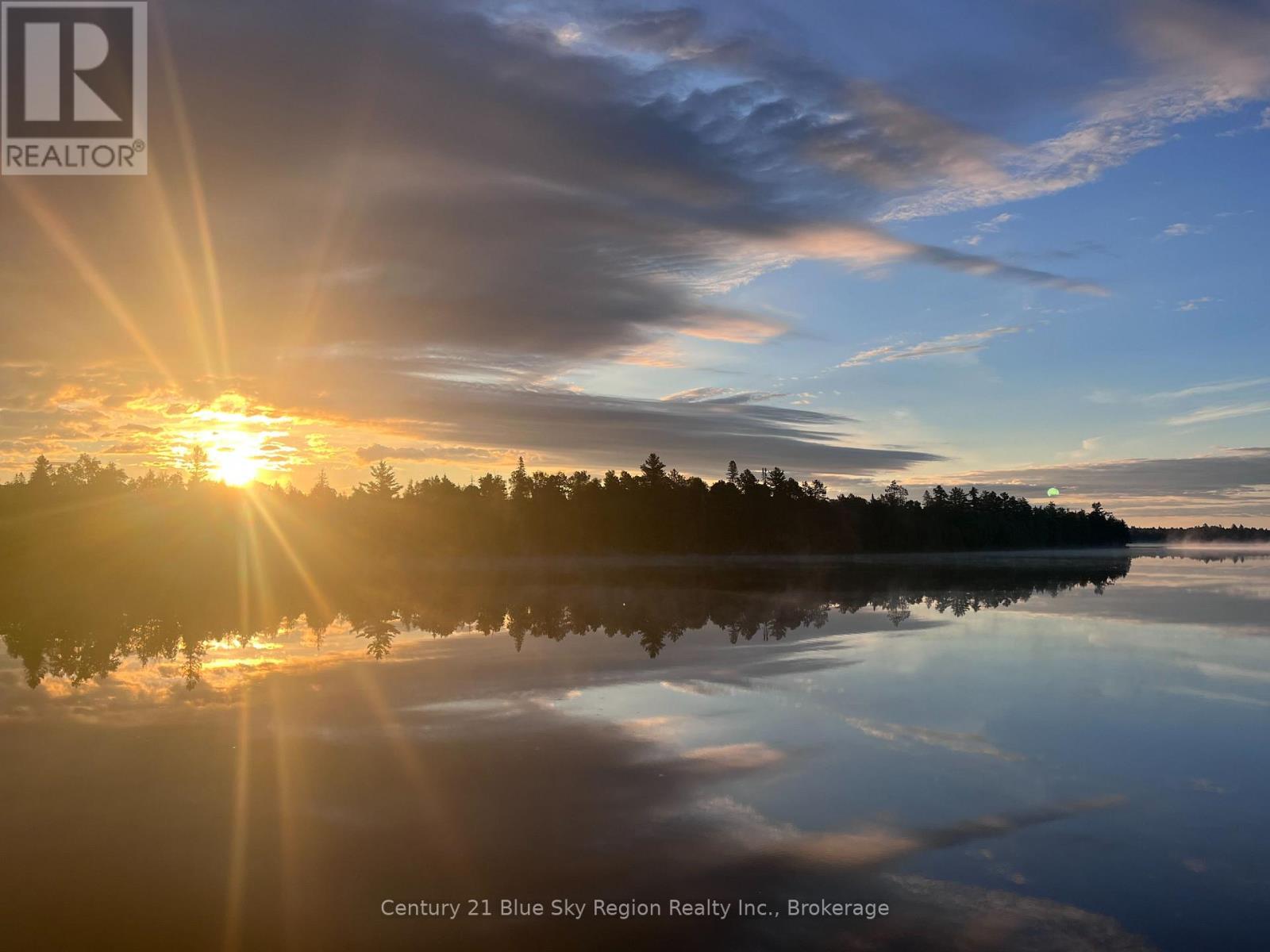 153 WHITE PINE ROAD - Image 41