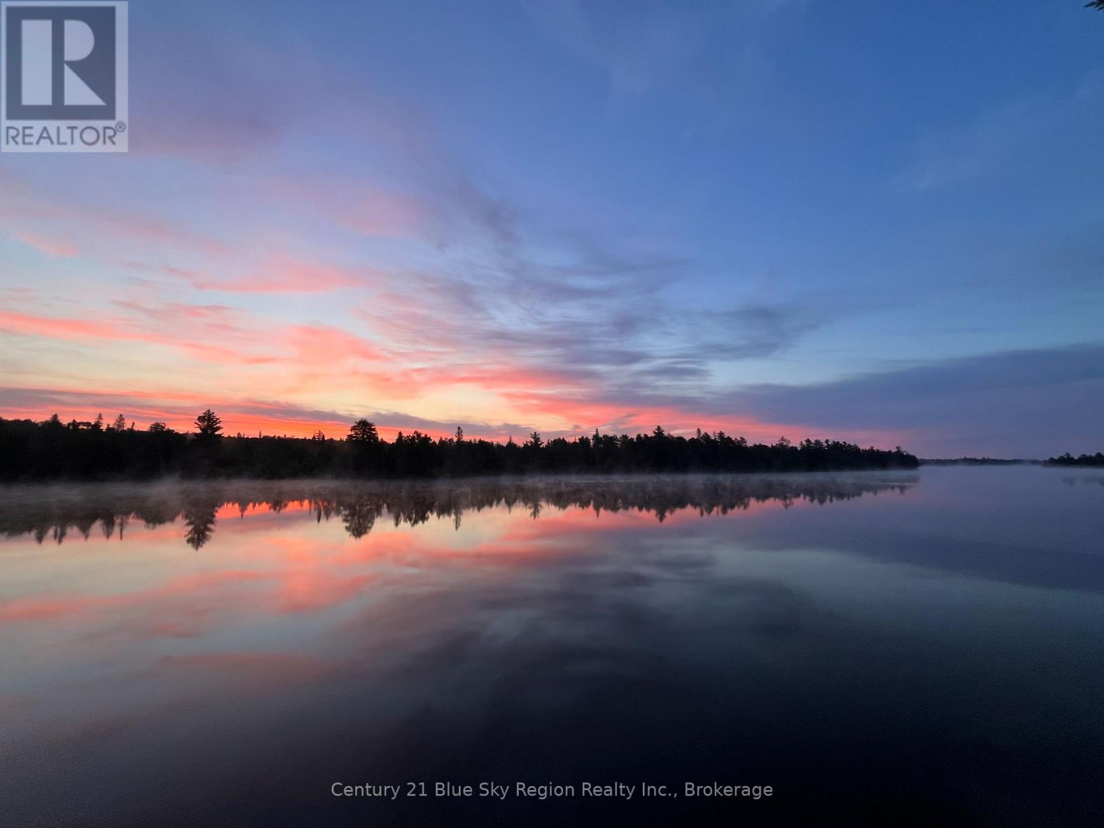 153 WHITE PINE ROAD - Image 42