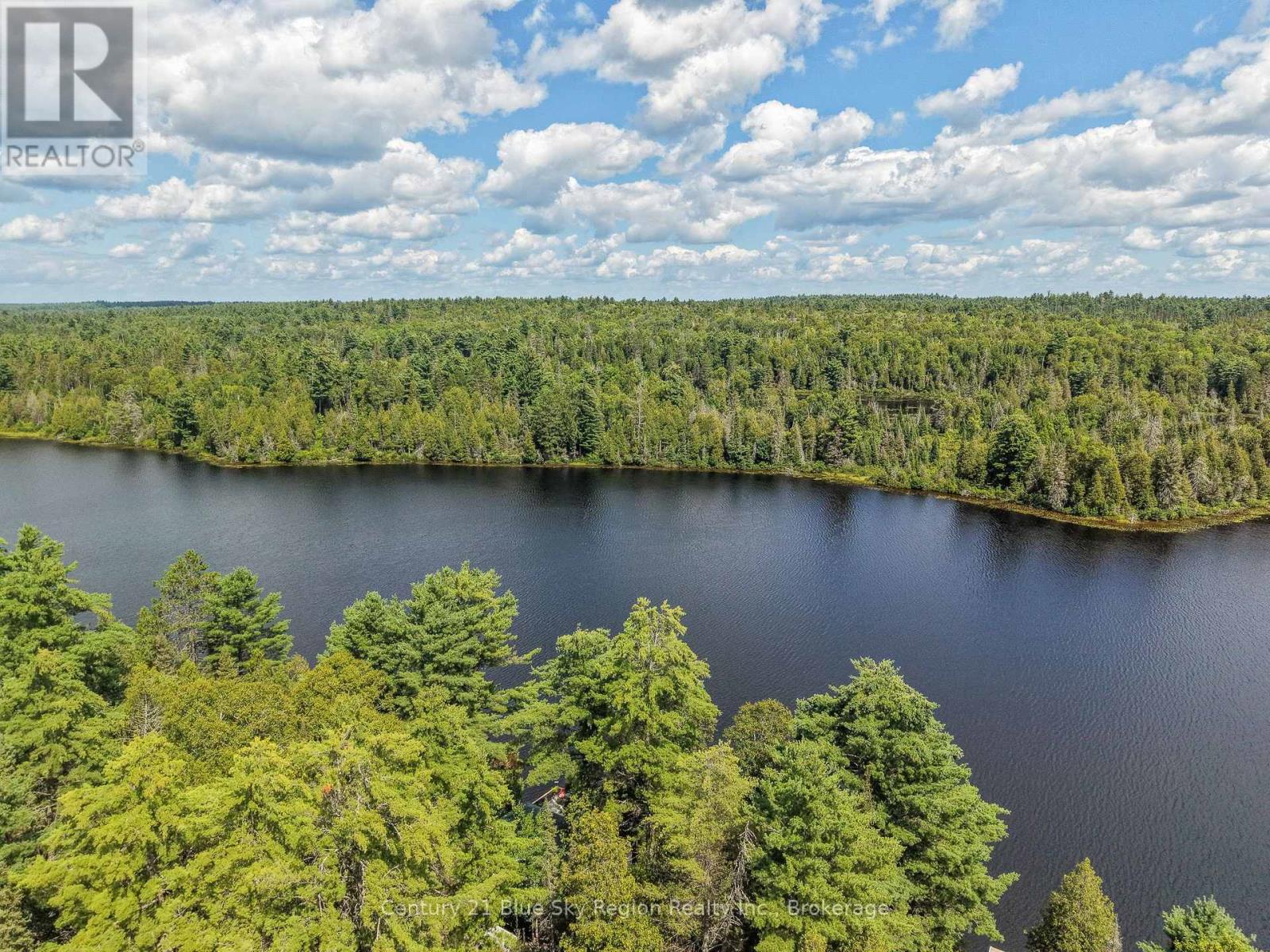 153 WHITE PINE ROAD - Image 43