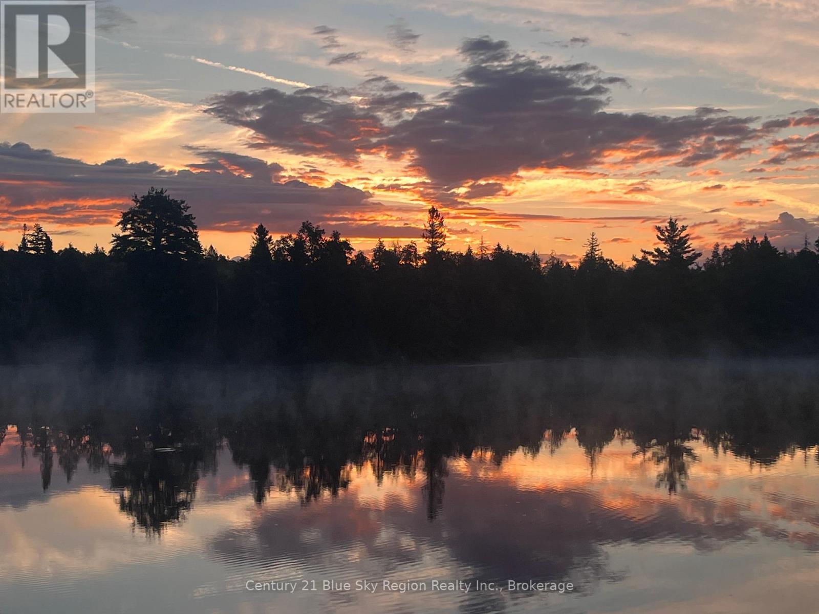 153 WHITE PINE ROAD - Image 44