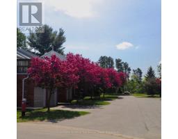 39 Shoreline Drive, Bracebridge, ON P1L1Z3 Photo 38
