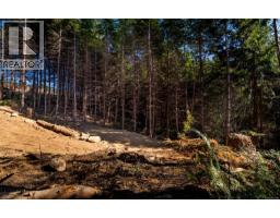 Lot 2 Creekside Glen, Sooke, BC V9Z1L1 Photo 11