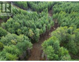 Lot 2 Creekside Glen, Sooke, BC V9Z1L1 Photo 6