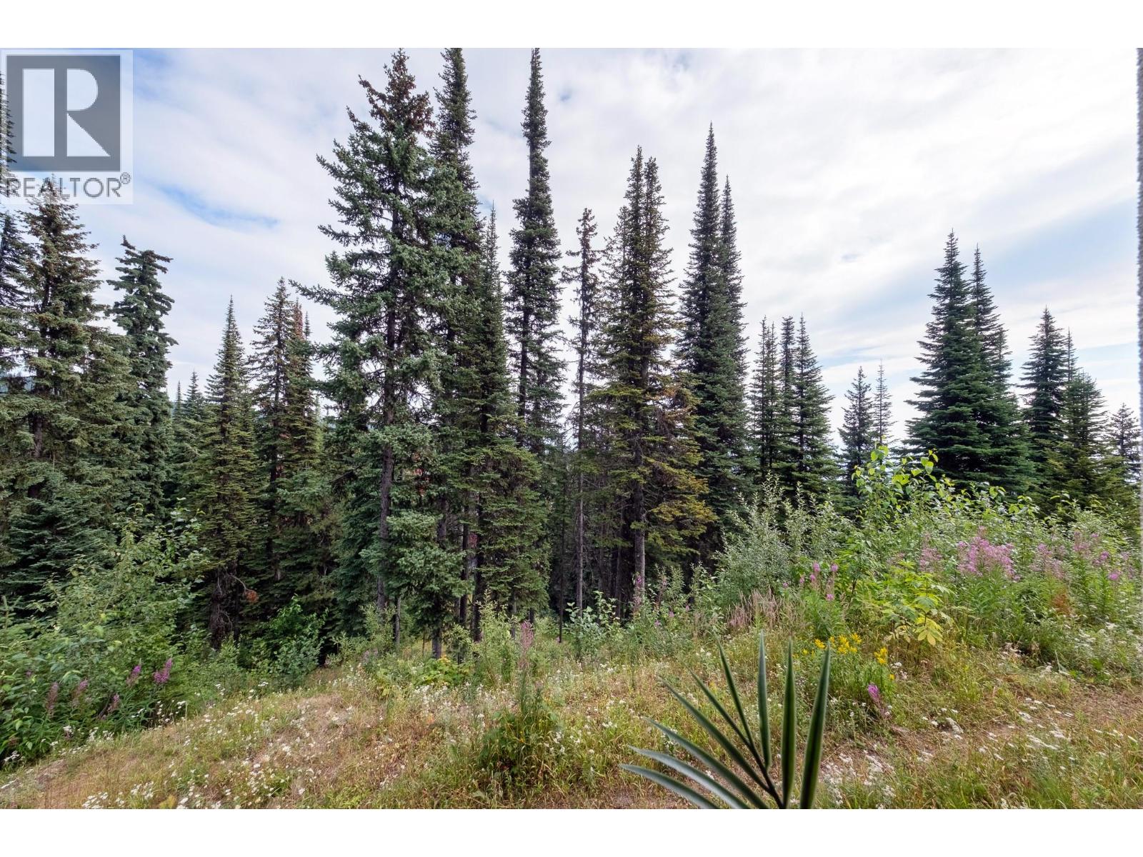 357 Monashee Road Unit# 101, Vernon