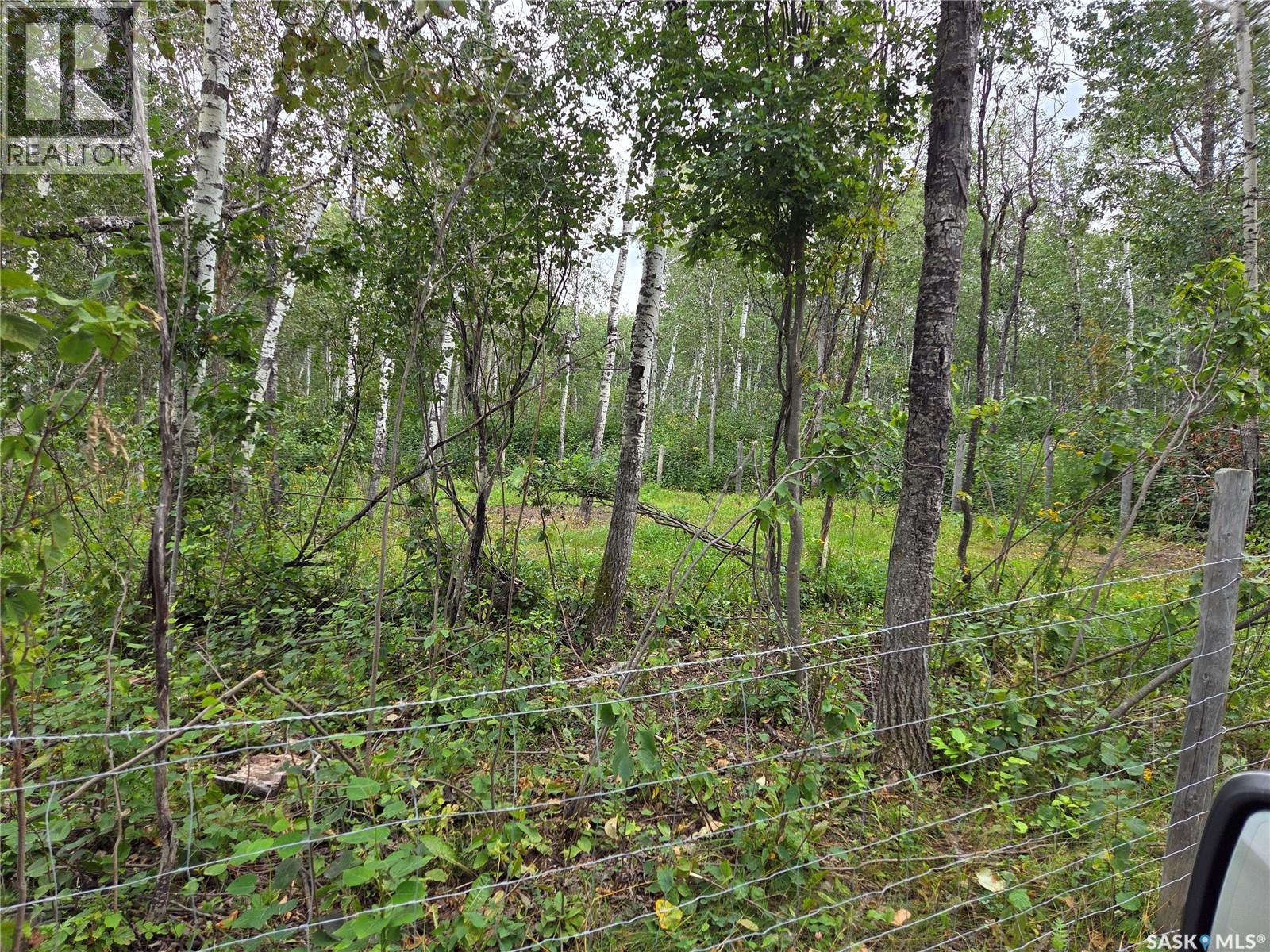 Reine Acreage - 49