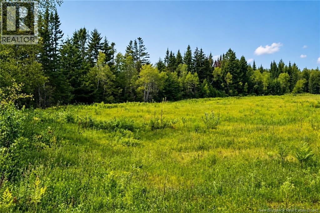 Center Avenue, Pennfield, New Brunswick, E5H2K4, Pennfield, New Brunswick — photo 4 of 5