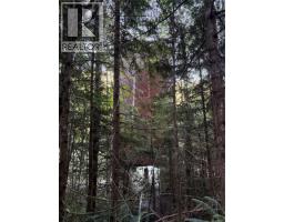 Dl 1501 Benson Lake, Port Alice, BC V0N2N0 Photo 11
