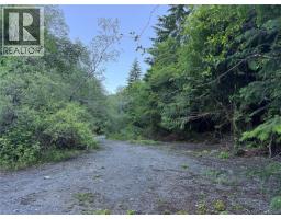 Dl 1501 Benson Lake, Port Alice, BC V0N2N0 Photo 10