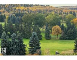 #306 11307 99 Av Nw, Edmonton, AB T5K0H2 Photo 70