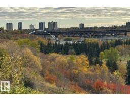 #306 11307 99 Av Nw, Edmonton, AB T5K0H2 Photo 73