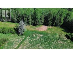 760 385 Route, Sisson Brook, NB E7G3M3 Photo 15