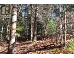 3 Parker Bay Road, Whitestone, ON P0A1G0 Photo 10