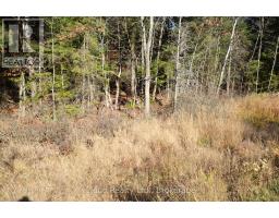 3 Parker Bay Road, Whitestone, ON P0A1G0 Photo 17