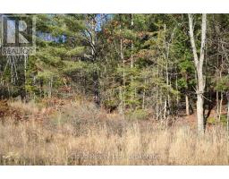 3 Parker Bay Road, Whitestone, ON P0A1G0 Photo 19