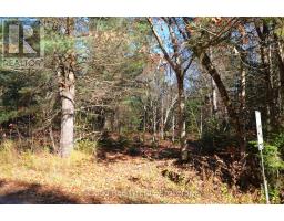 3 Parker Bay Road, Whitestone, ON P0A1G0 Photo 23