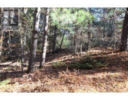 3 Parker Bay Road, Whitestone, ON P0A1G0 Photo 25