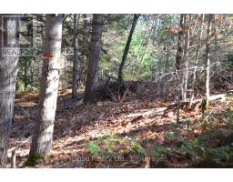 3 Parker Bay Road, Whitestone, ON P0A1G0 Photo 26