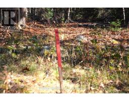 3 Parker Bay Road, Whitestone, ON P0A1G0 Photo 28