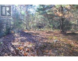 3 Parker Bay Road, Whitestone, ON P0A1G0 Photo 7