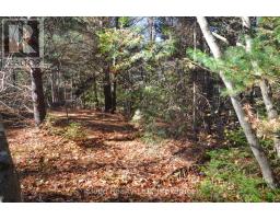 3 Parker Bay Road, Whitestone, ON P0A1G0 Photo 8