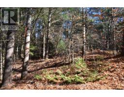 3 Parker Bay Road, Whitestone, ON P0A1G0 Photo 9