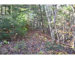 2 Parker Bay Road, Whitestone, ON P0A1G0 Photo 10